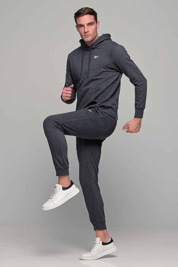 Γκρι ανδρικό φούτερ με κουκούλα FR και print φτερό