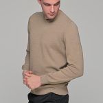 Βαμβακερό Ανδρικό Πουλόβερ με Βε σε Μπεζ Χρώμα